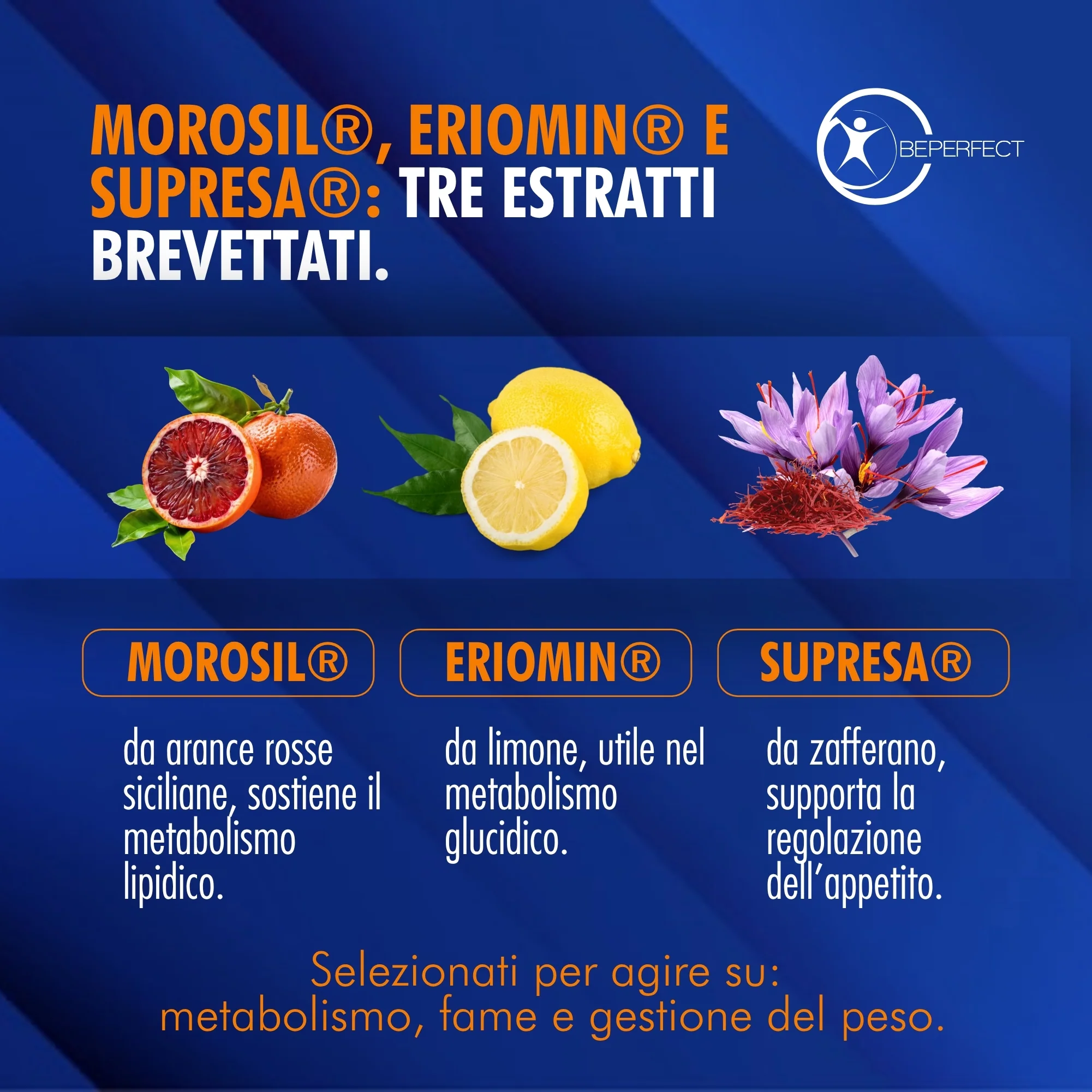 GLP-1 Gold - Image 4